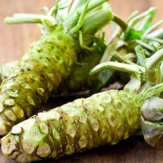 f:id:end_of_multi:20200219201100p:plain f:id:end_of_multi:20200219201100p:plain