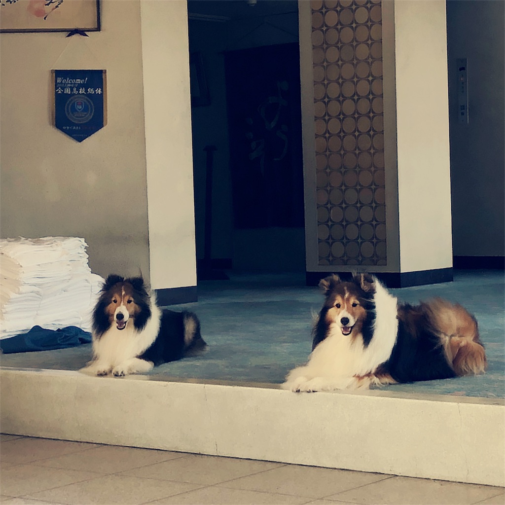 f:id:endchip:20180717060352j:image f:id:endchip:20180717060352j:image