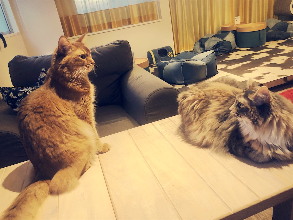 f:id:endchip:20180901080945j:image f:id:endchip:20180901080945j:image