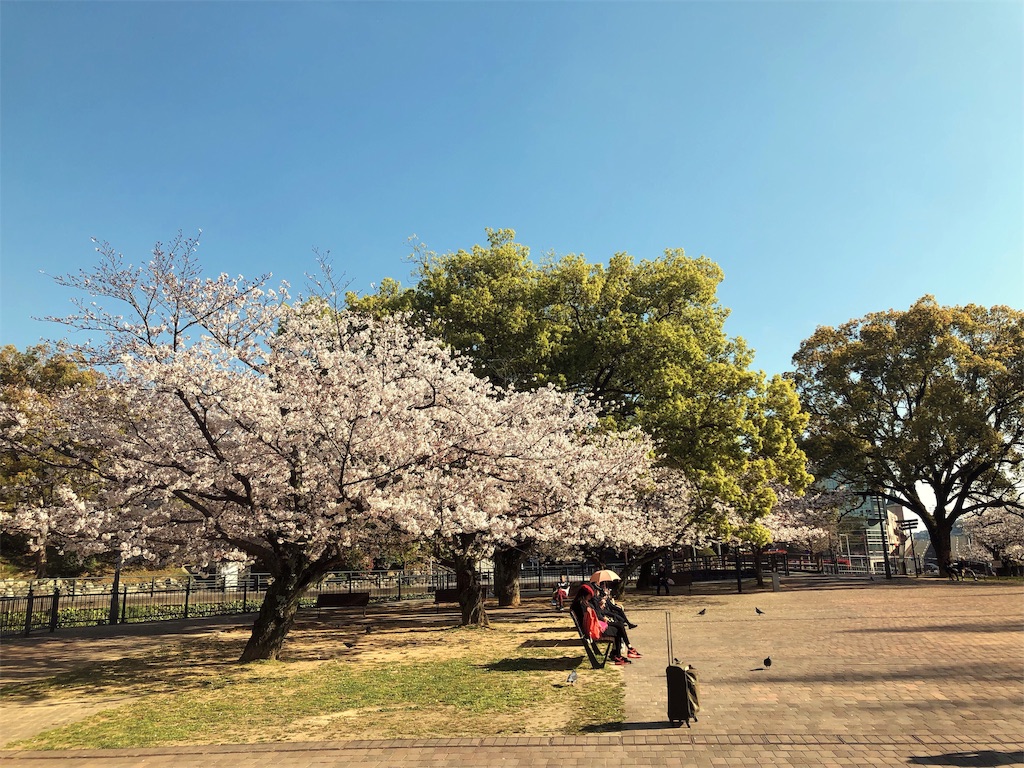f:id:endchip:20190405161944j:image f:id:endchip:20190405161944j:image