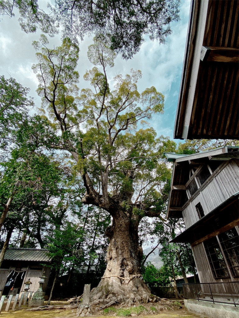 f:id:endchip:20200222201922j:image f:id:endchip:20200222201922j:image