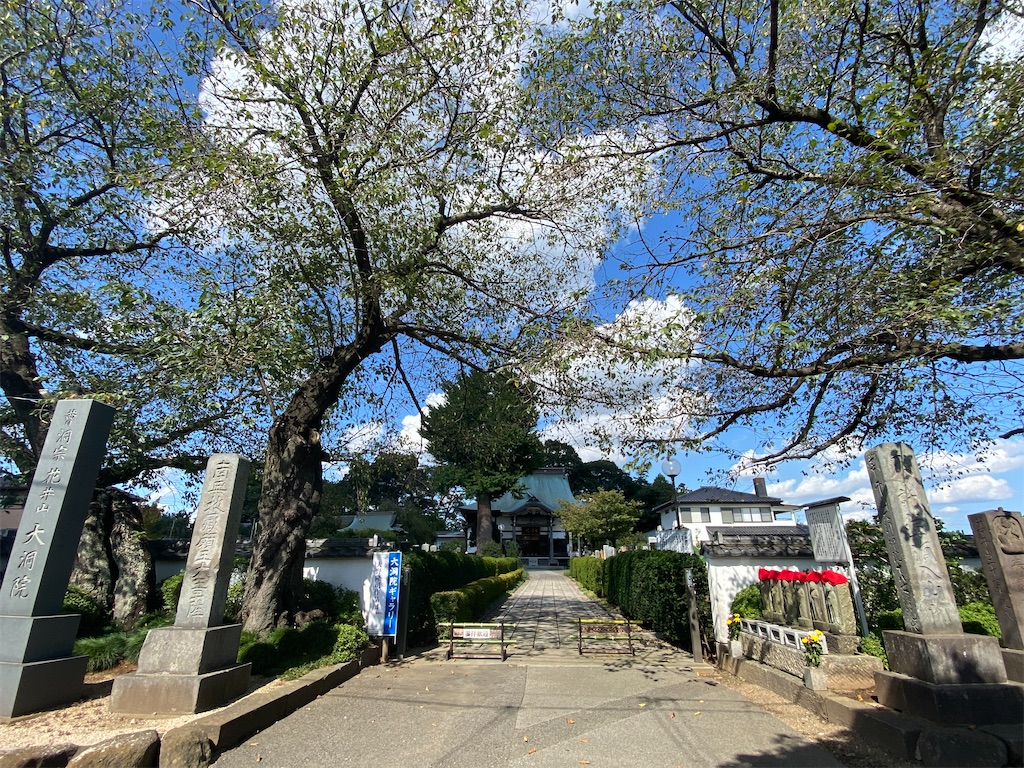 f:id:endchip:20201005213355j:image f:id:endchip:20201005213355j:image