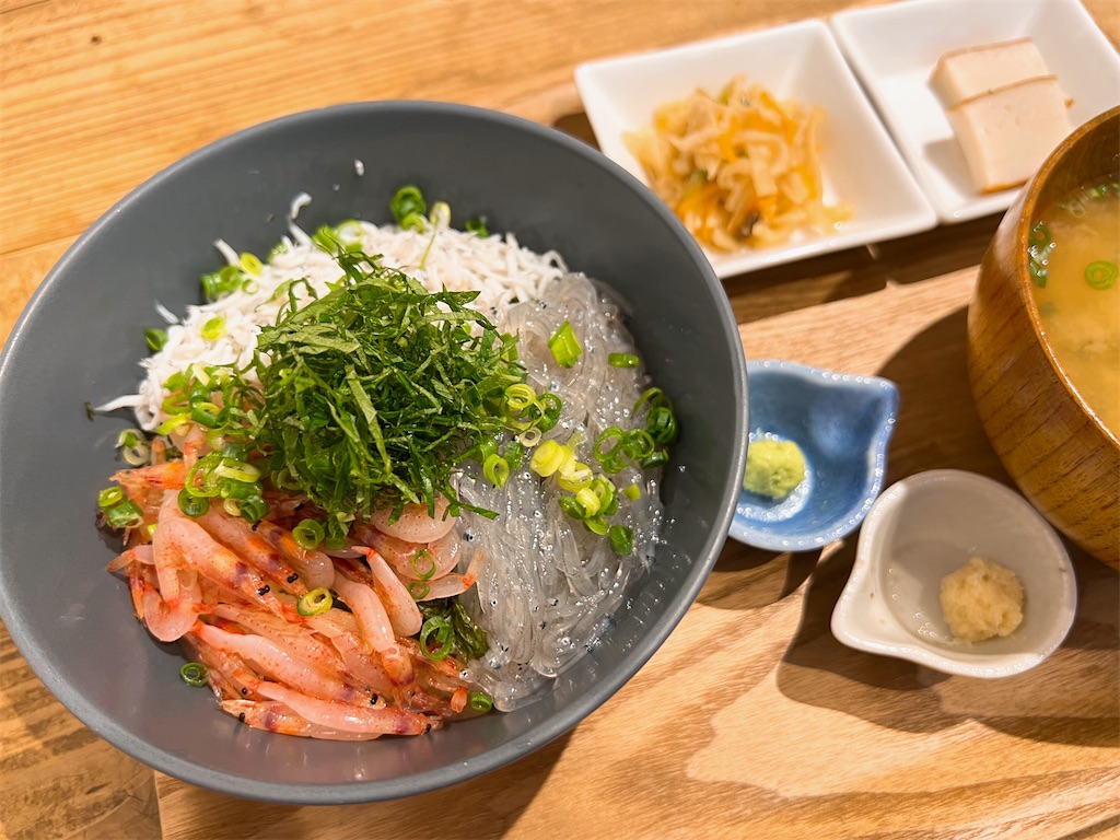 f:id:endchip:20230717150629j:image