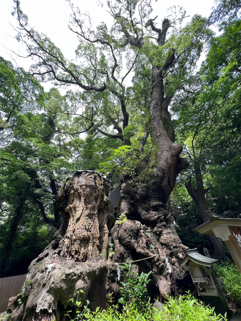 f:id:endchip:20230717151212j:image