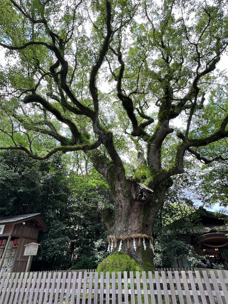 f:id:endchip:20230717155817j:image