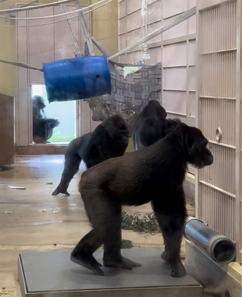 f:id:endchip:20230717174014j:image