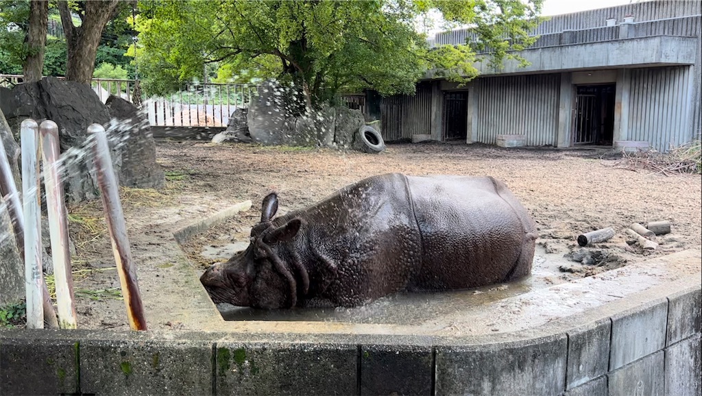 f:id:endchip:20230717174254j:image