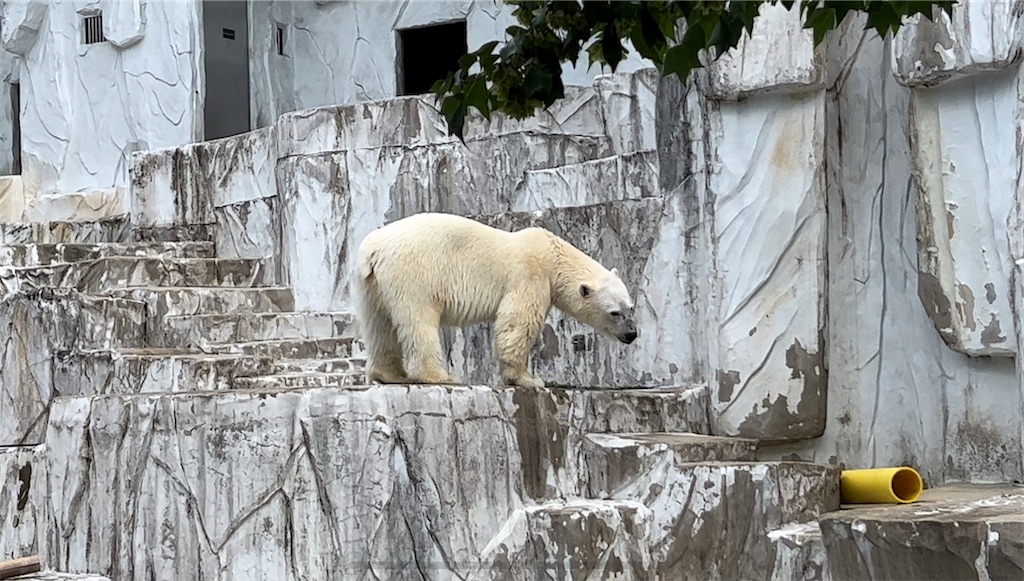 f:id:endchip:20230717174258j:image