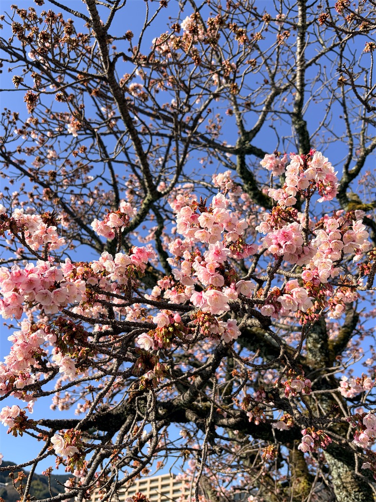 f:id:endchip:20260313092027j:image f:id:endchip:20260313092027j:image