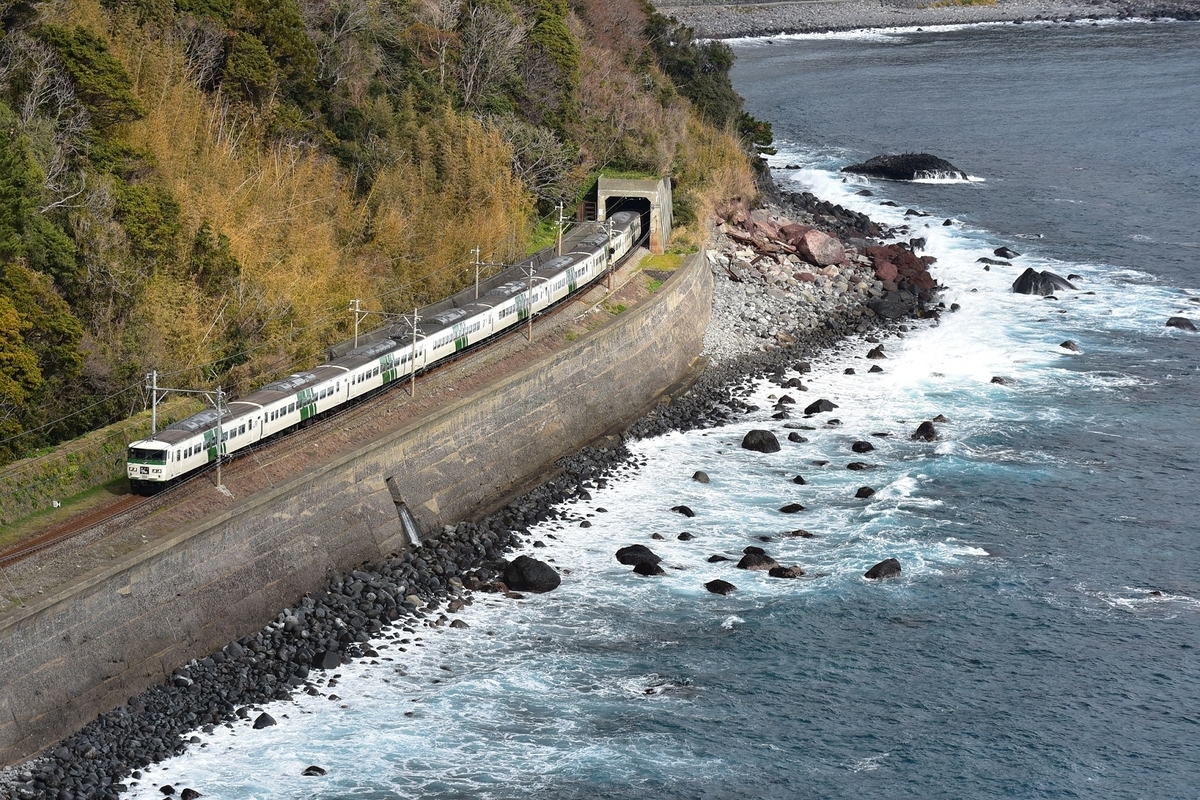 01 31 伊豆急行 今井浜海岸 Endeavourserius S Diary