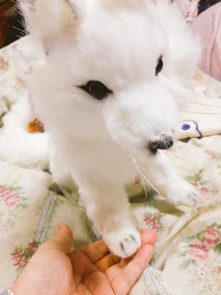 f:id:endesyoukai:20171113162143j:plain