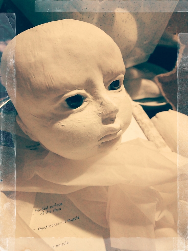 f:id:endesyoukai:20190124195513j:plain