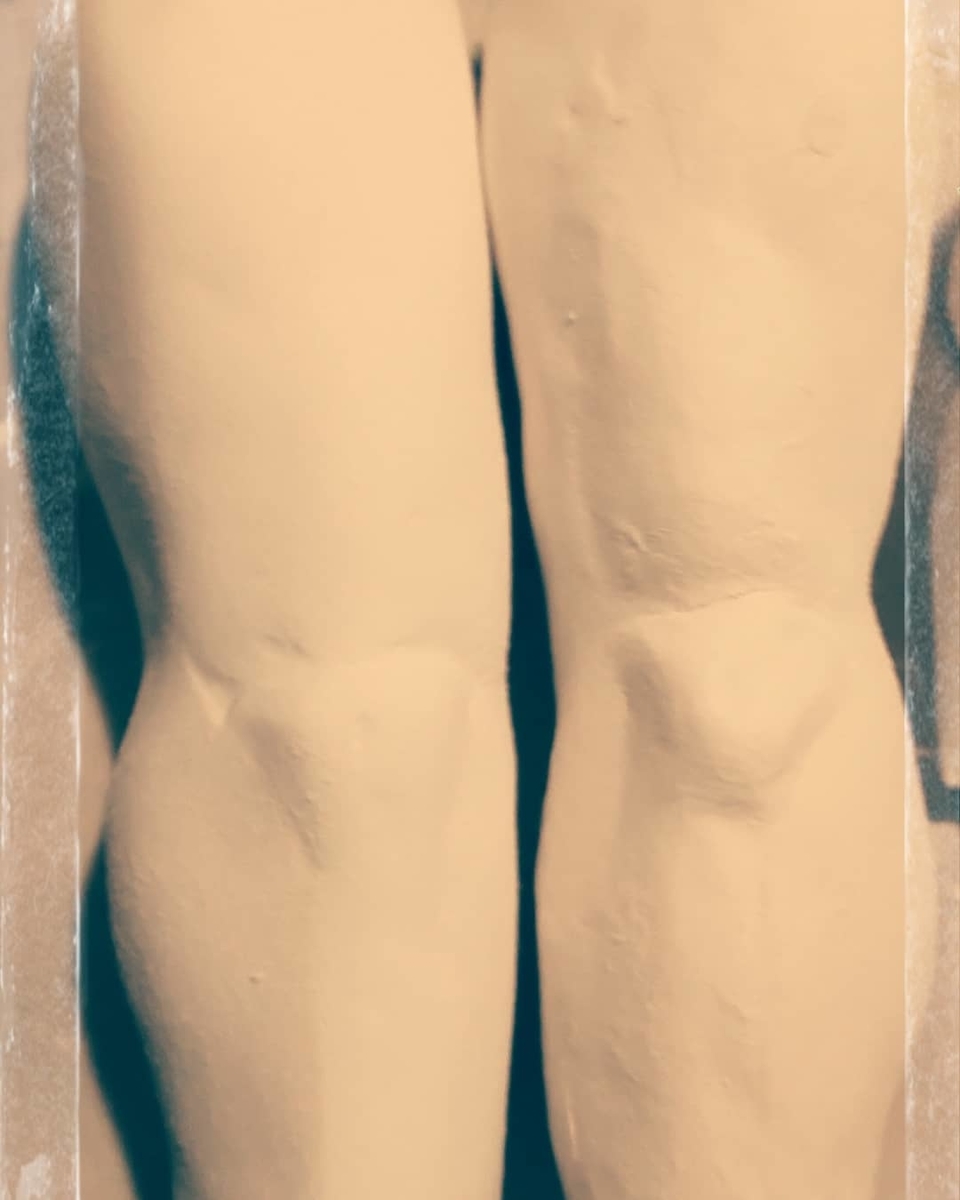 f:id:endesyoukai:20190326185725j:plain
