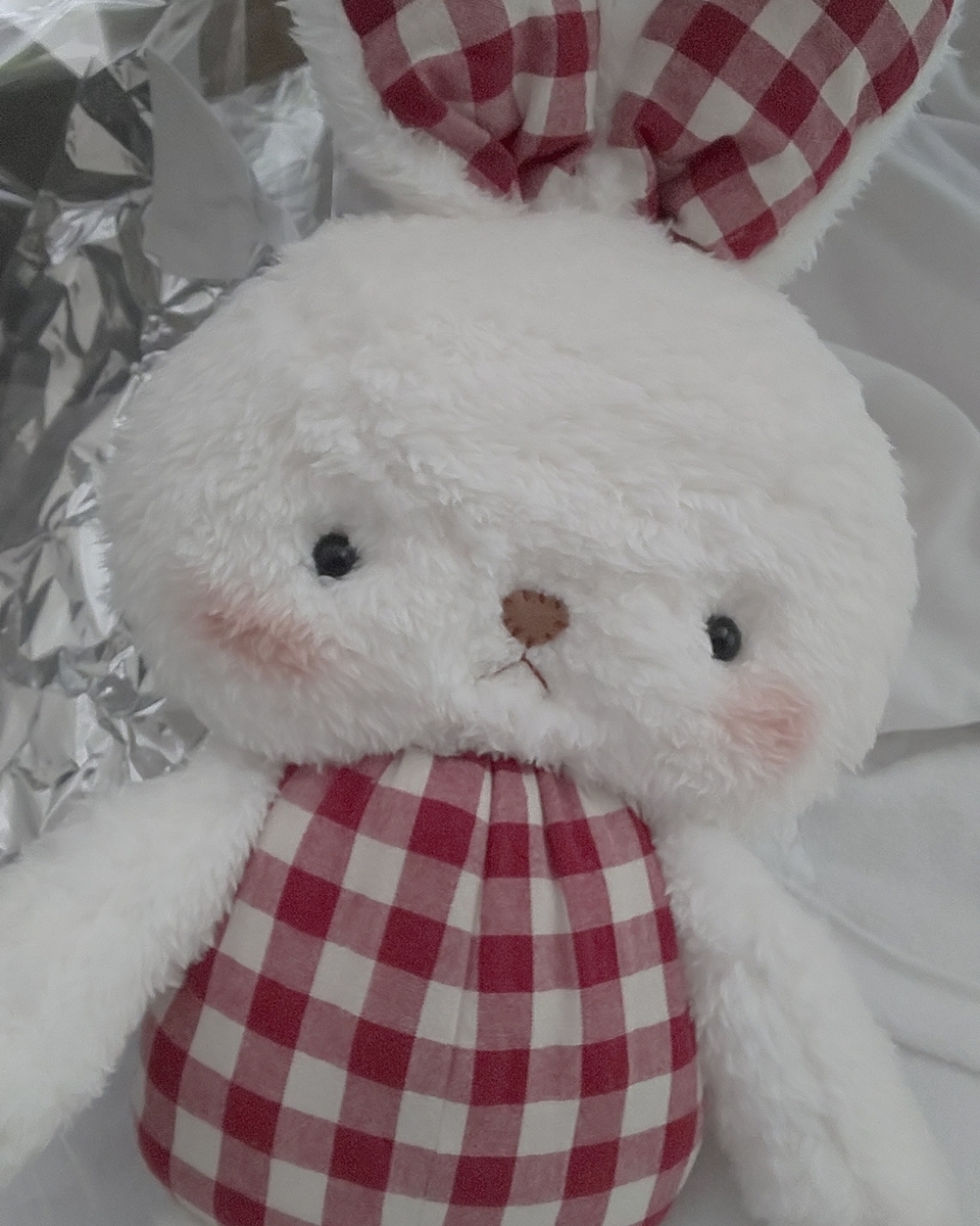 f:id:endesyoukai:20190406213341j:plain