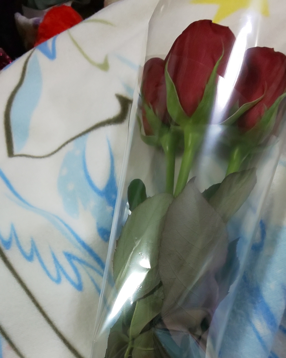 f:id:endesyoukai:20190630212502j:plain f:id:endesyoukai:20190630212502j:plain
