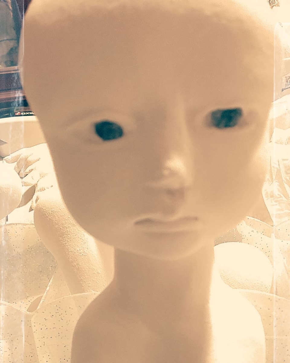 f:id:endesyoukai:20190906172350j:plain