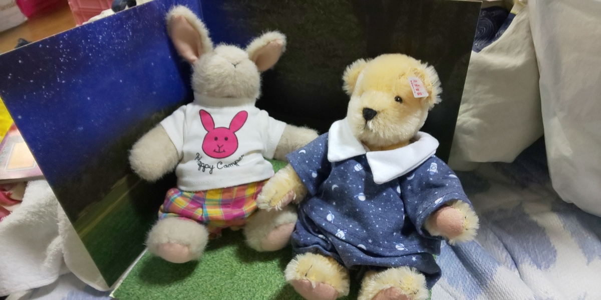 f:id:endesyoukai:20190915204944j:plain