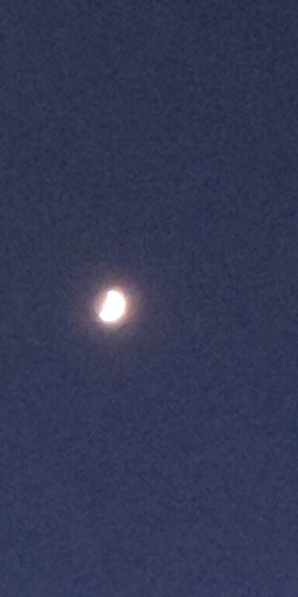 f:id:endesyoukai:20191004214416j:plain
