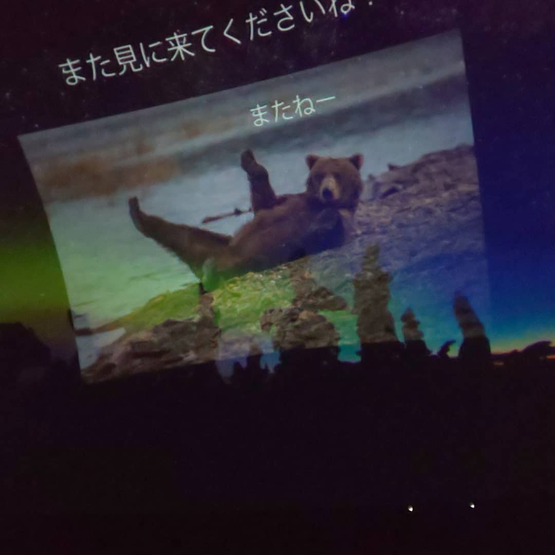 f:id:endesyoukai:20191015142422j:plain
