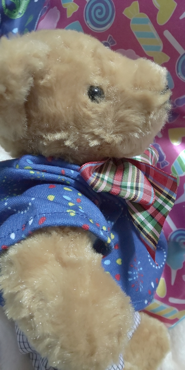 f:id:endesyoukai:20191105003454j:plain