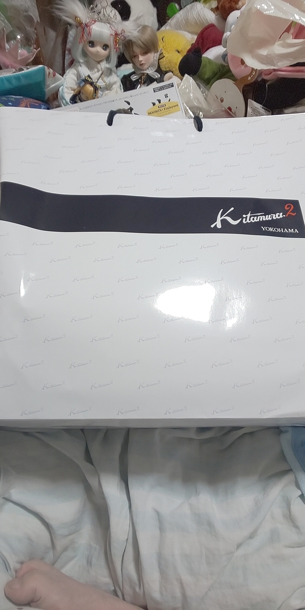 f:id:endesyoukai:20201030023726j:plain