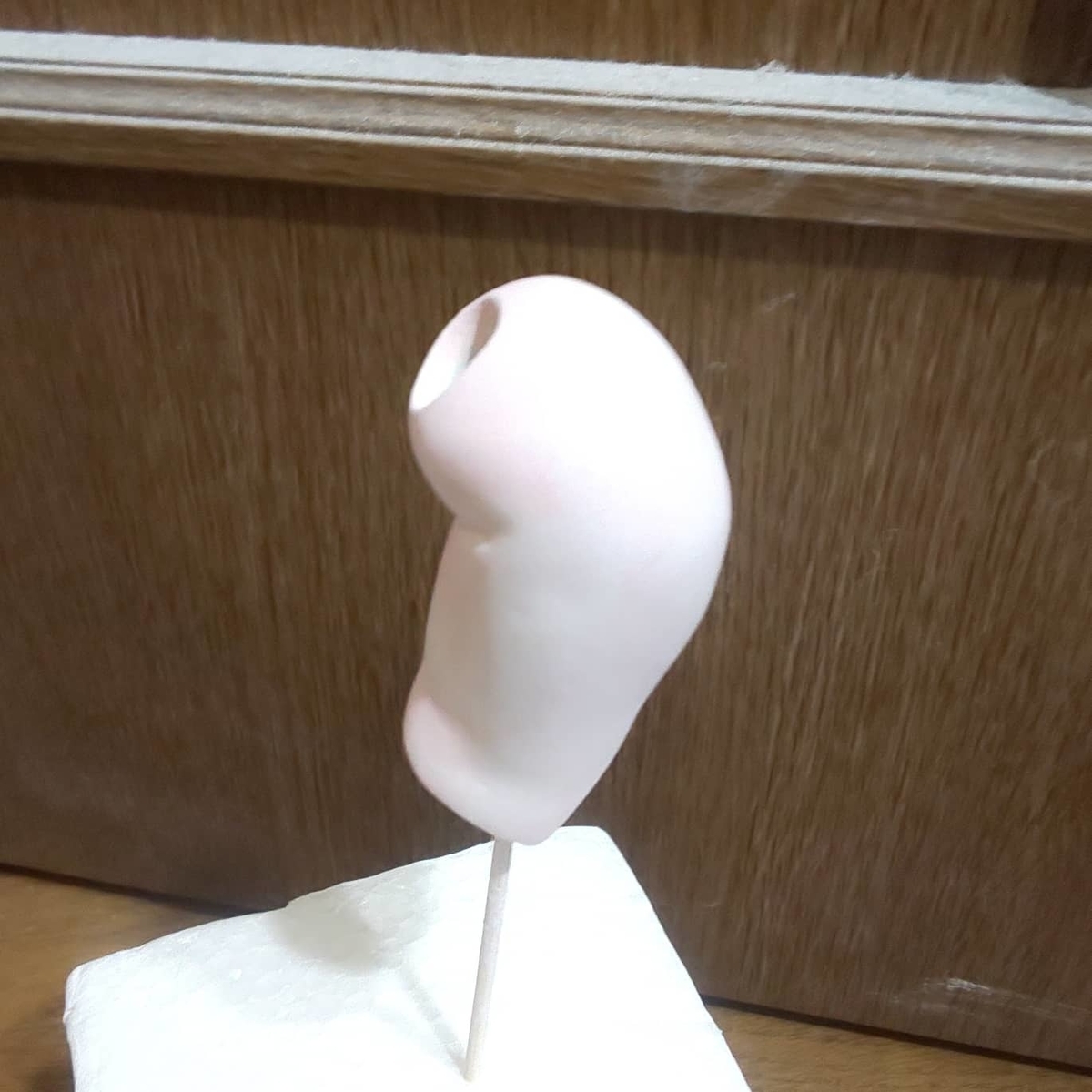 f:id:endesyoukai:20201128234633j:plain