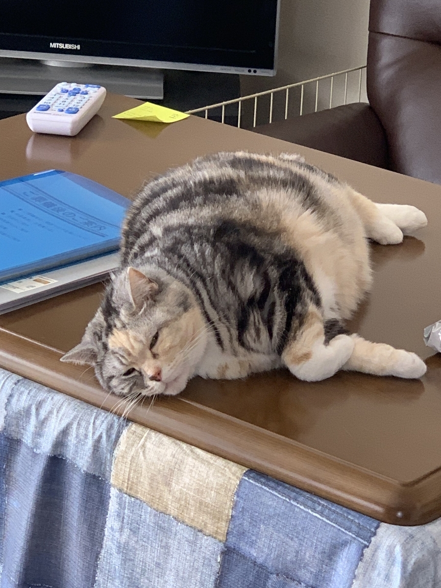 f:id:ending__theme:20200317220144j:plain