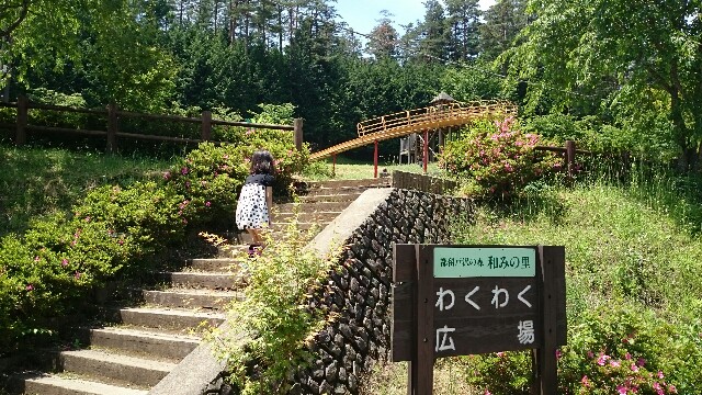 f:id:endo6565:20160814221123j:image f:id:endo6565:20160814221123j:image