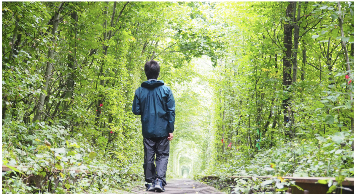 f:id:endoakak:20200909190618p:plain f:id:endoakak:20200909190618p:plain