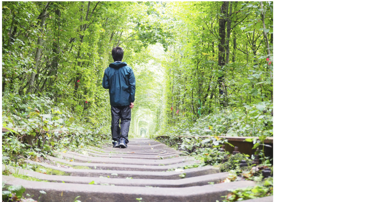 f:id:endoakak:20200909191257p:plain f:id:endoakak:20200909191257p:plain