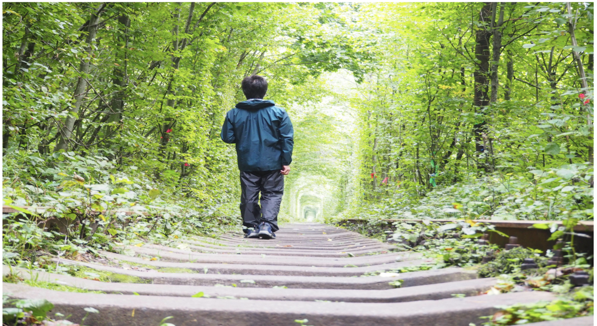 f:id:endoakak:20200909191624p:plain f:id:endoakak:20200909191624p:plain