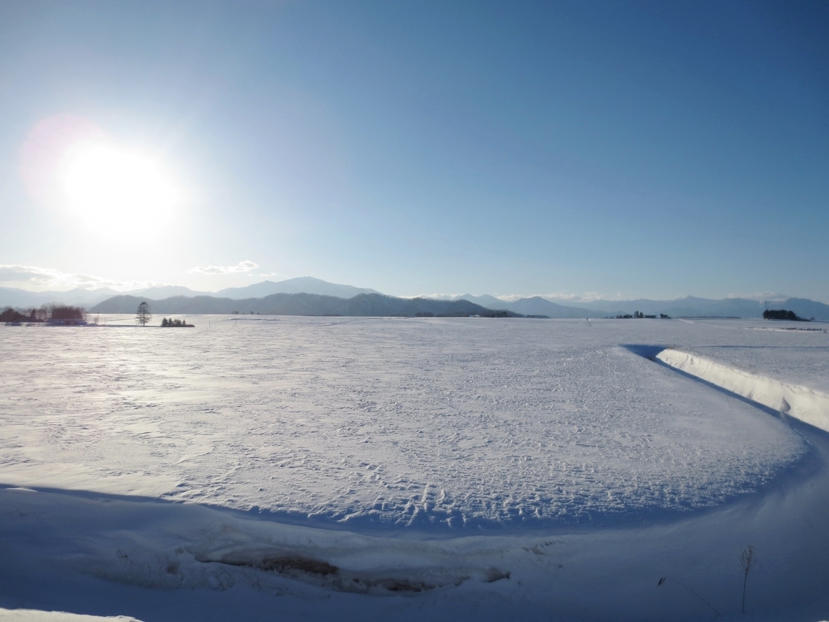 f:id:endokoro728:20140319162428j:plain f:id:endokoro728:20140319162428j:plain