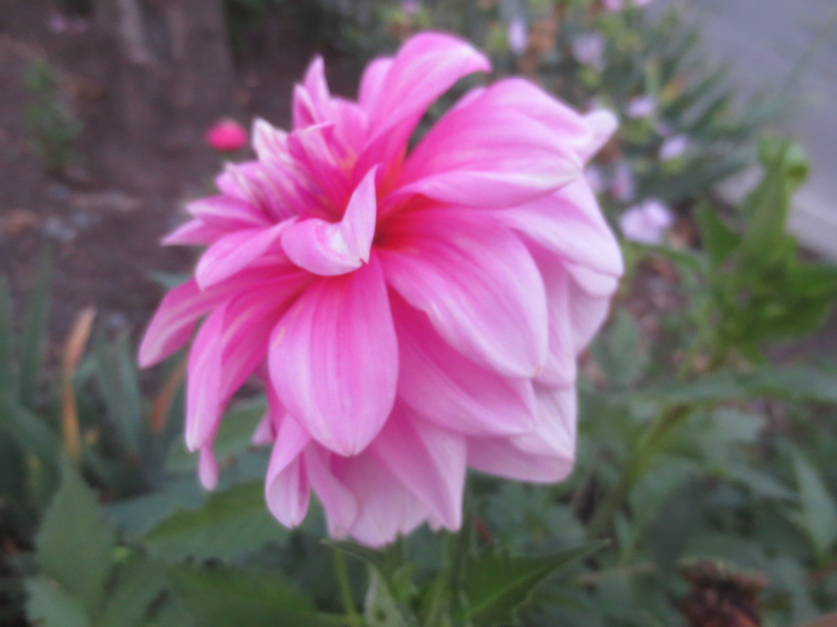 f:id:endokoro728:20200827211508j:plain f:id:endokoro728:20200827211508j:plain