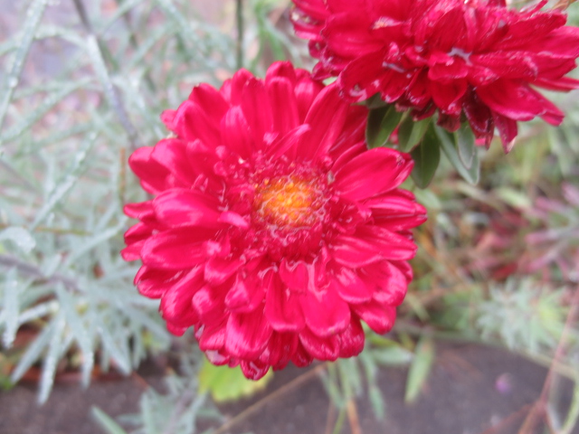 f:id:endokoro728:20200914210407j:plain f:id:endokoro728:20200914210407j:plain