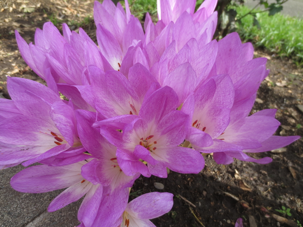 f:id:endokoro728:20200925173706j:plain f:id:endokoro728:20200925173706j:plain