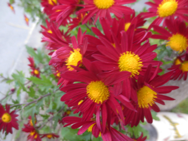 f:id:endokoro728:20201110212923j:plain f:id:endokoro728:20201110212923j:plain