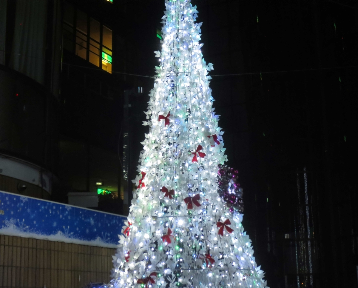f:id:endokoro728:20201213212513j:plain