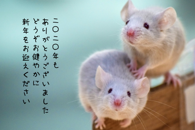 f:id:endokoro728:20201228211505j:plain