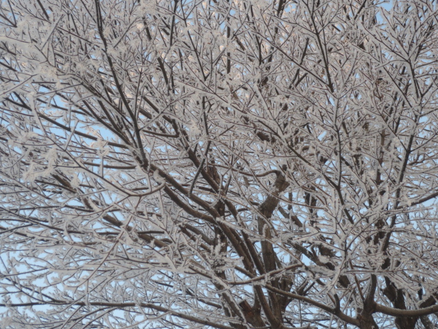 f:id:endokoro728:20220130213208j:plain
