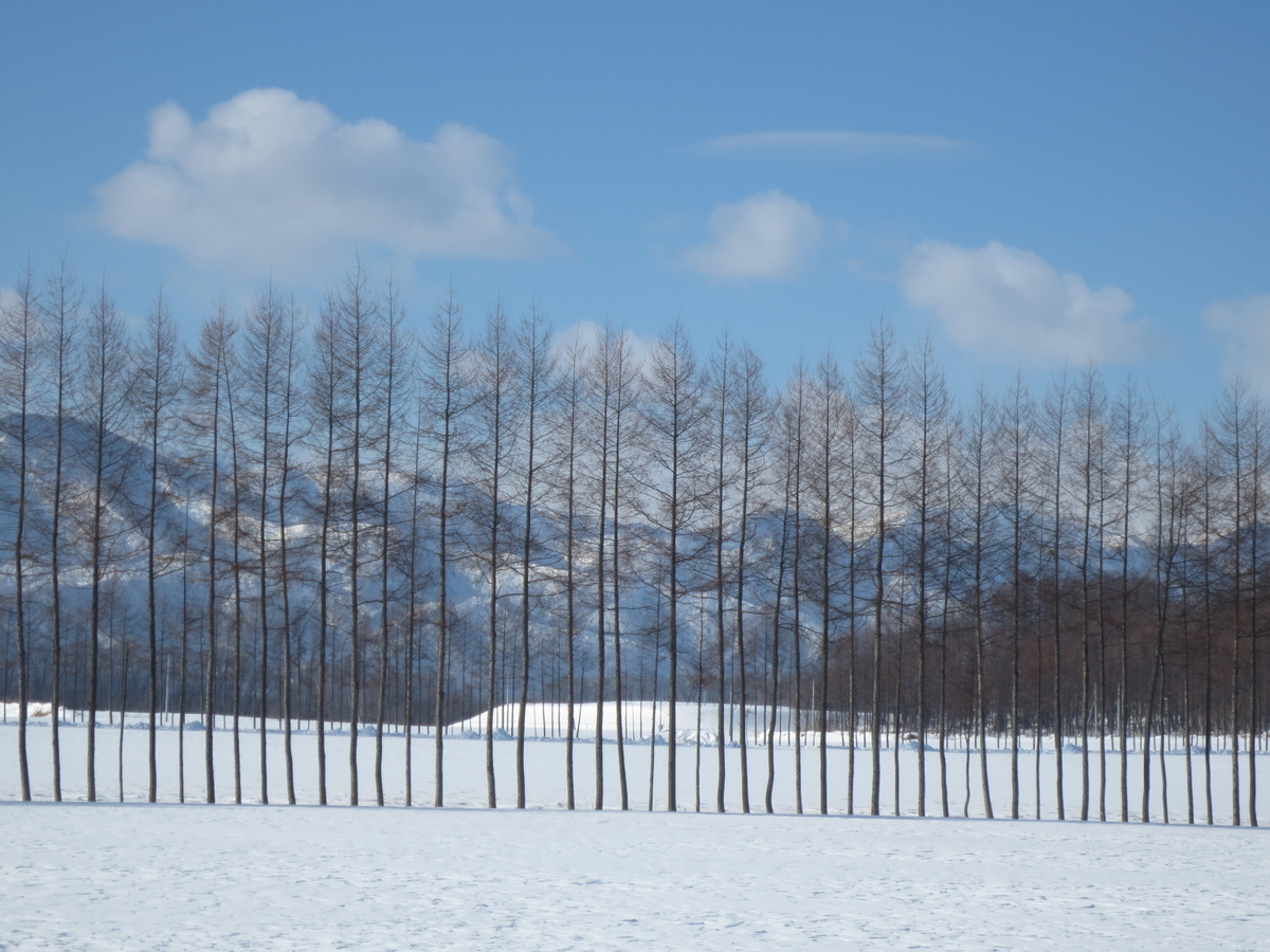 f:id:endokoro728:20220327211508j:plain