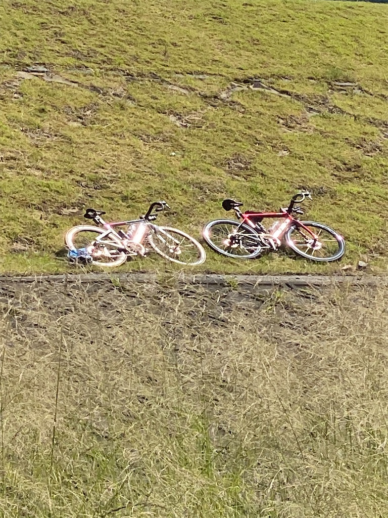 f:id:endorphinkyoto:20251231203651j:image