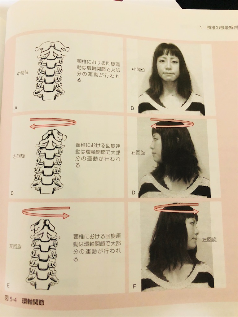 f:id:enduro19910726:20180722205957j:image