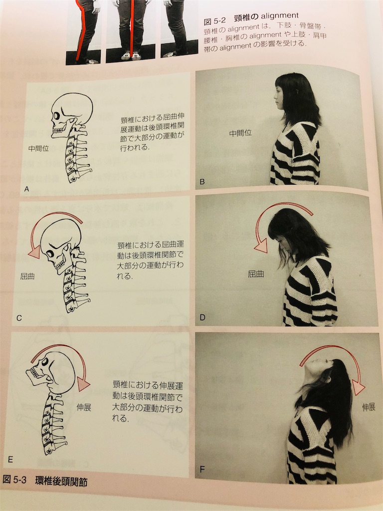 f:id:enduro19910726:20180722210011j:image