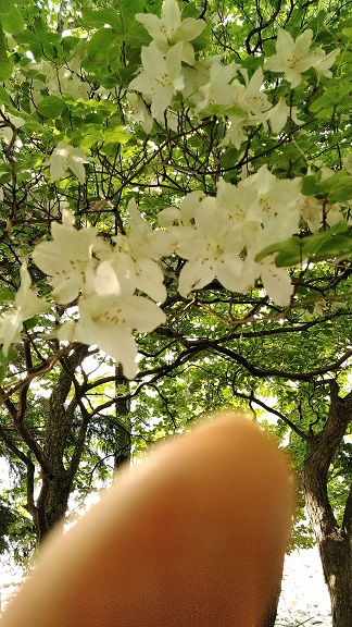 f:id:endy3:20200604083104j:plain f:id:endy3:20200604083104j:plain