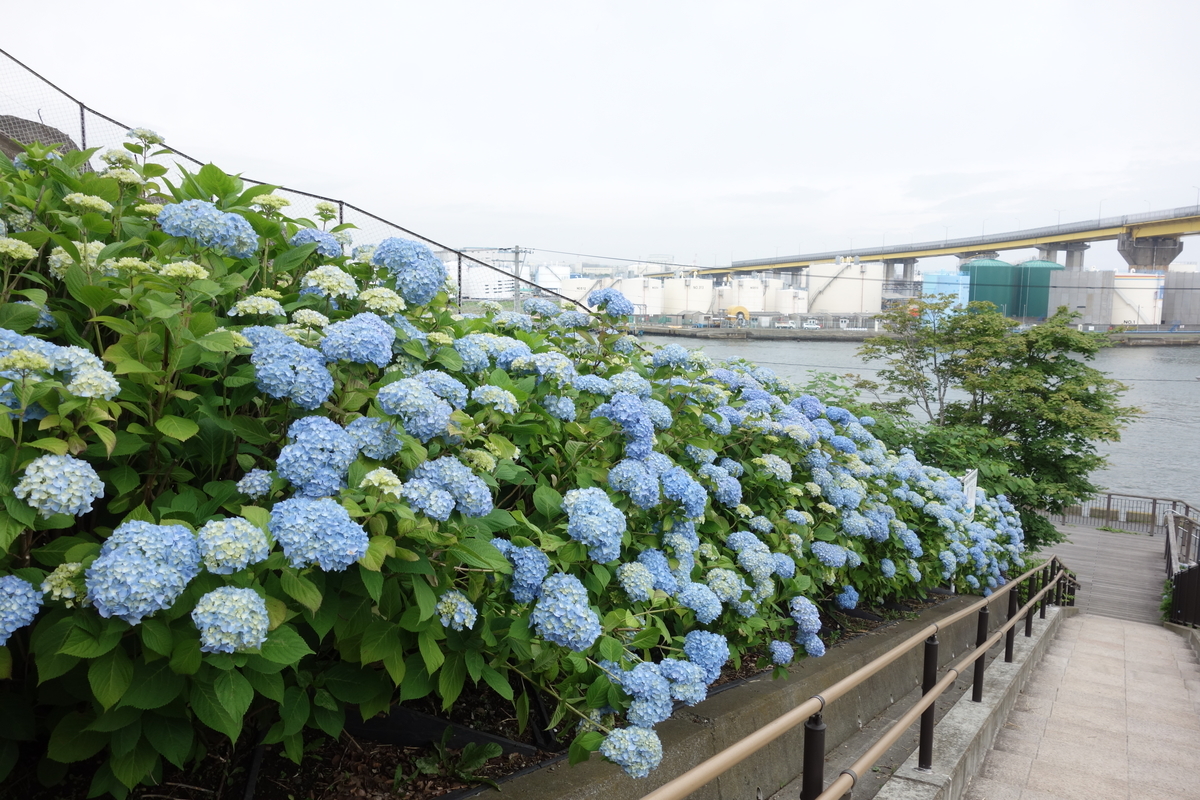 f:id:enechita001:20190701232443j:plain f:id:enechita001:20190701232443j:plain