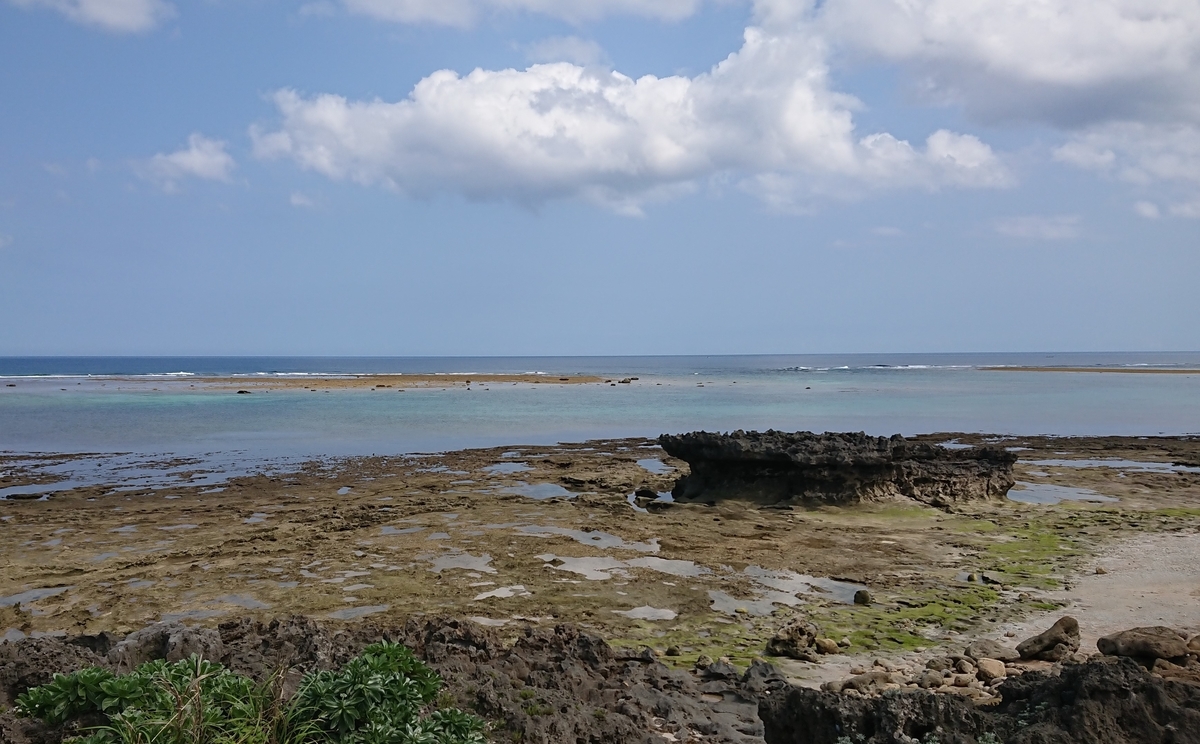 f:id:energy_kego:20190420193109j:plain