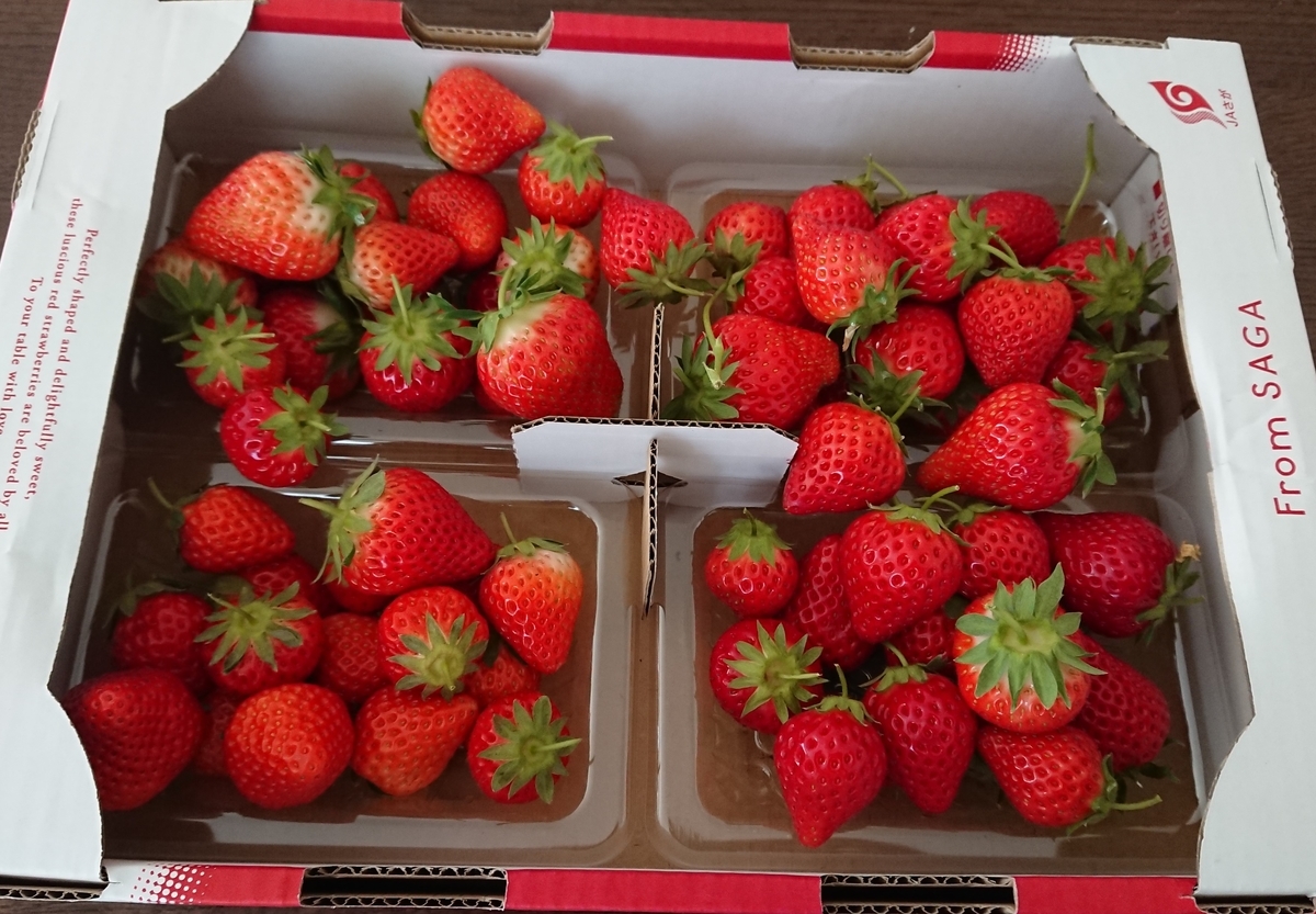 f:id:energy_kego:20190505164606j:plain