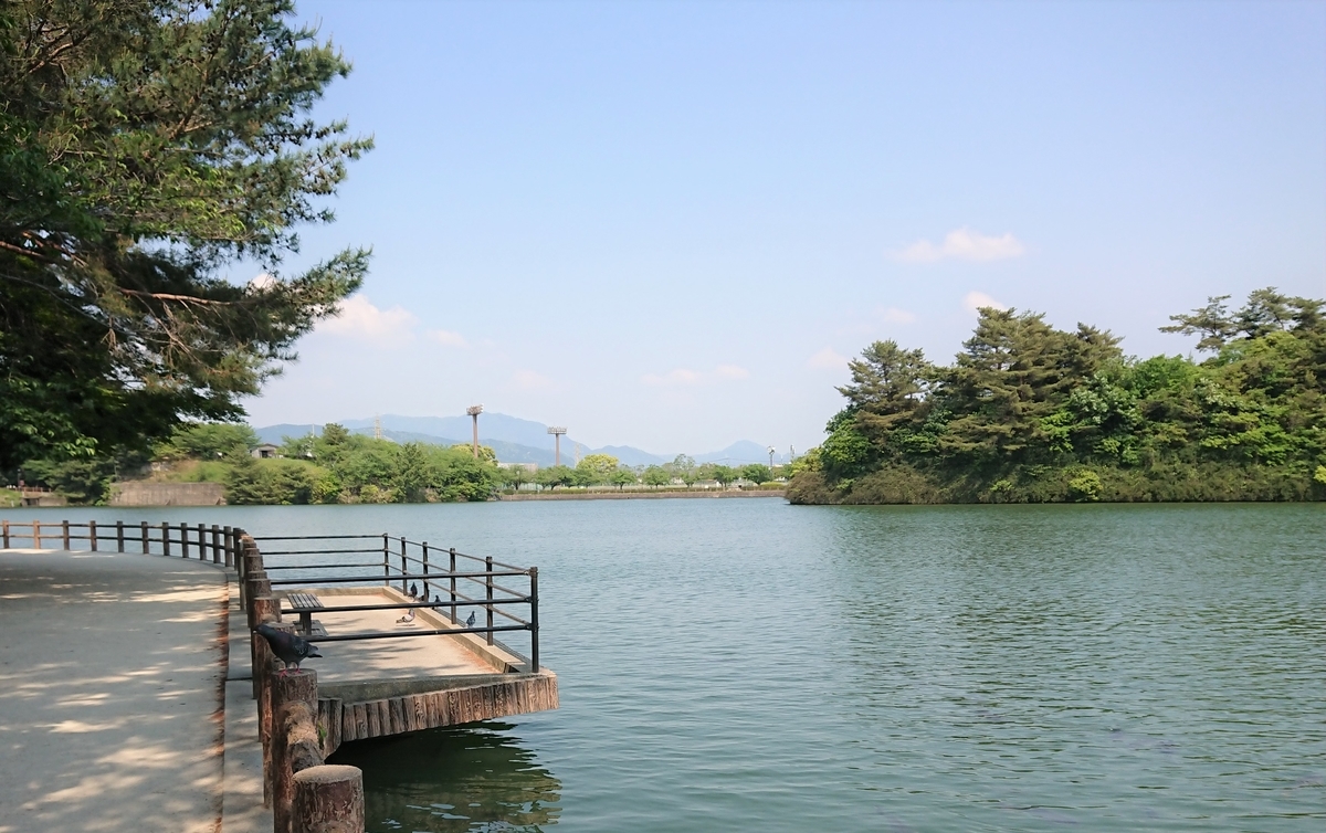 f:id:energy_kego:20190514221144j:plain