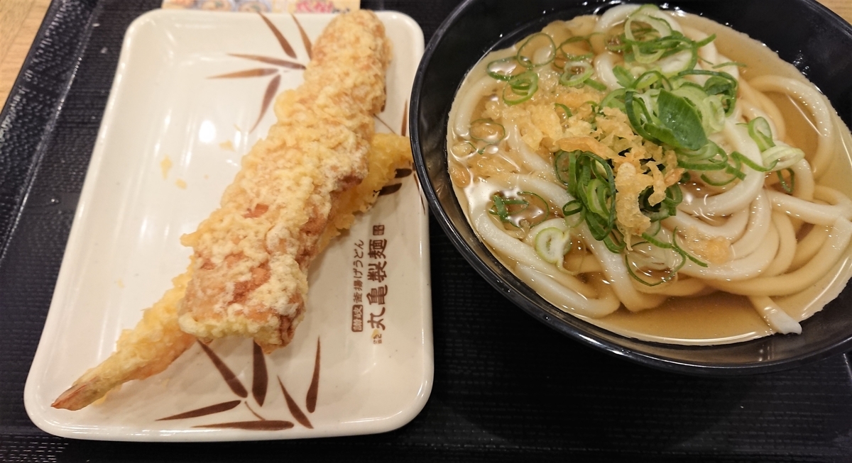 f:id:energy_kego:20201212100318j:plain