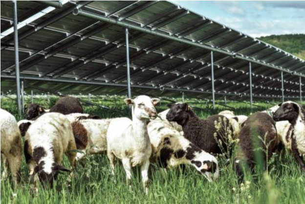 f:id:energytransition:20190615044715p:plain